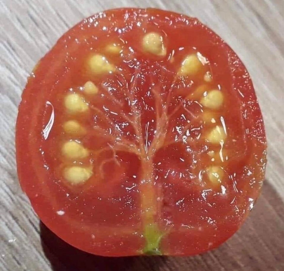 opticalillusions16_021