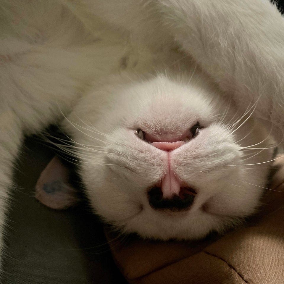 opticalillusions16_026