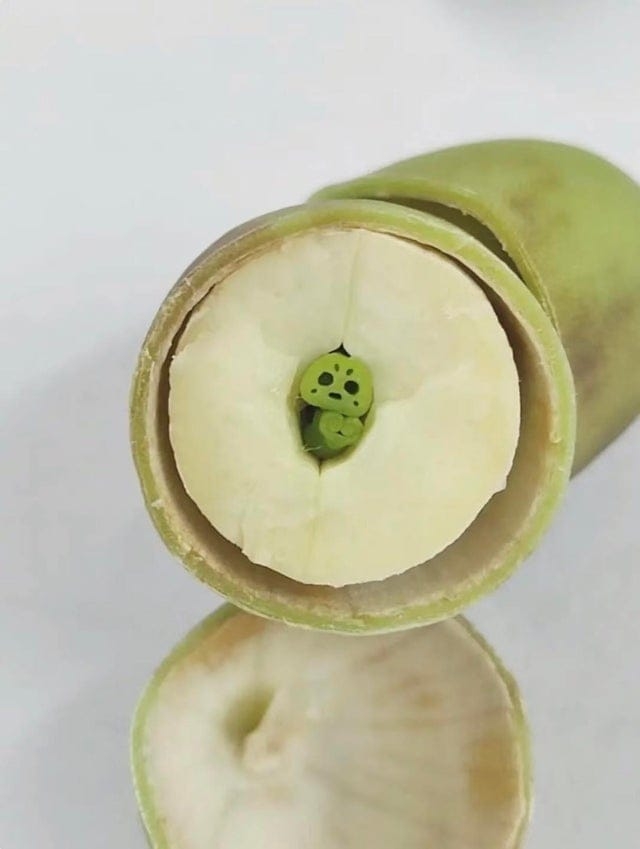 opticalillusions16_033