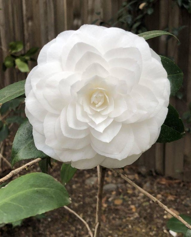 perfectphotos175_005