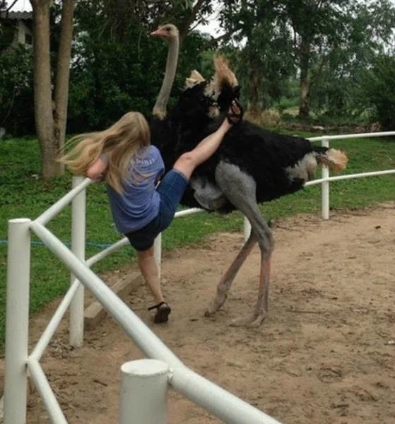 perfectphotos175_026