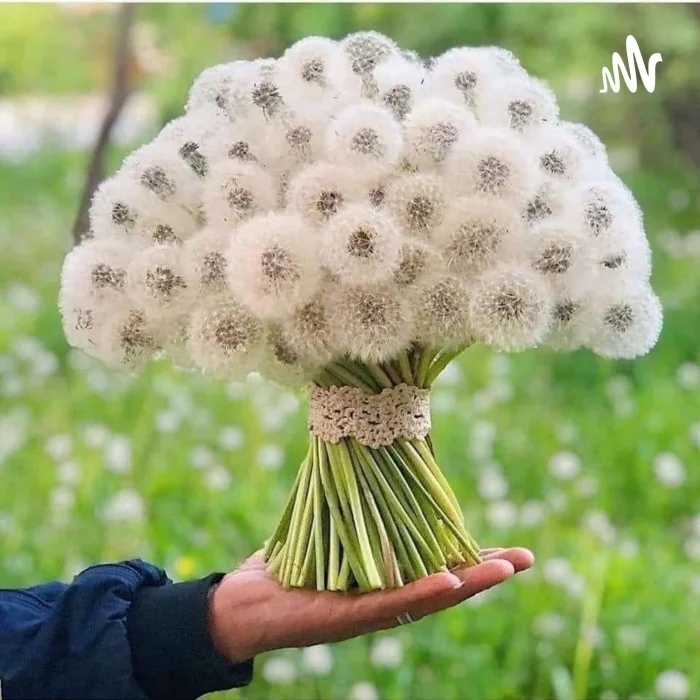 perfectphotos176_001