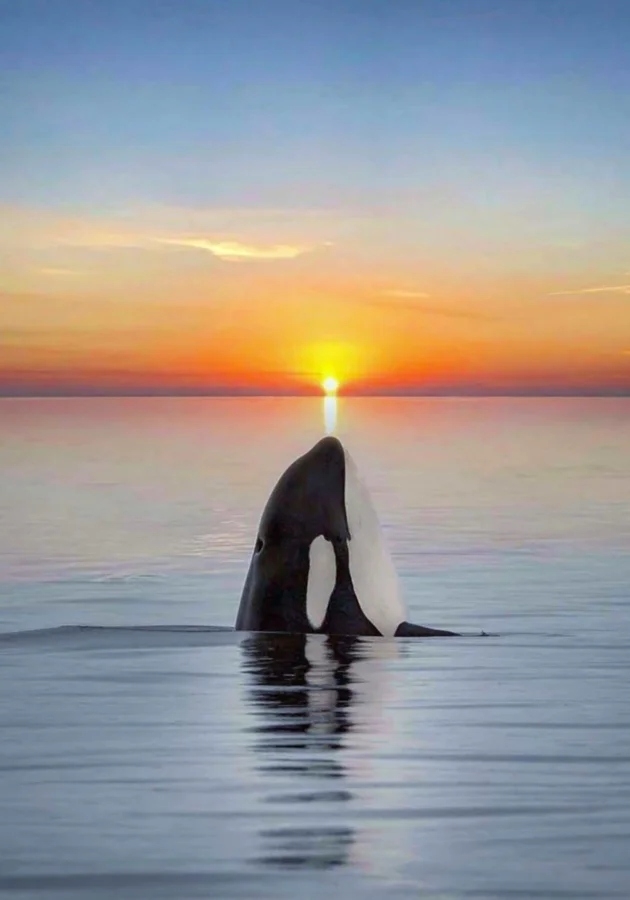 perfectphotos176_006