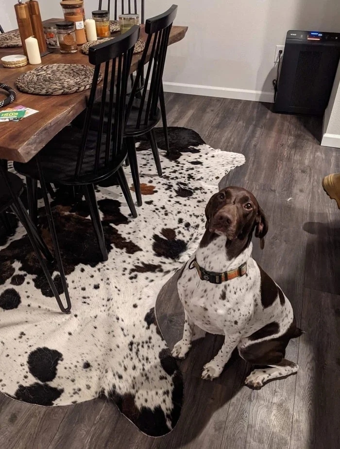 perfectphotos176_024