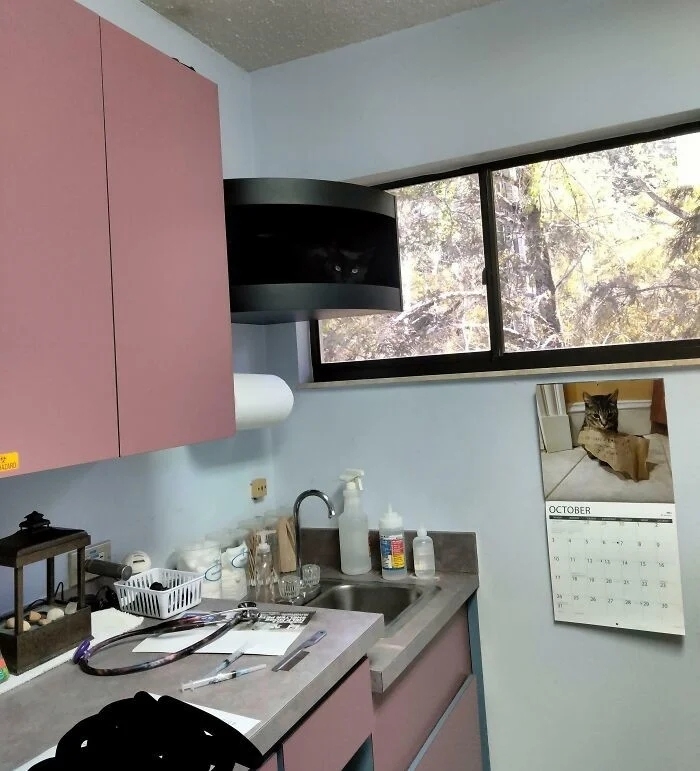 perfectphotos176_031