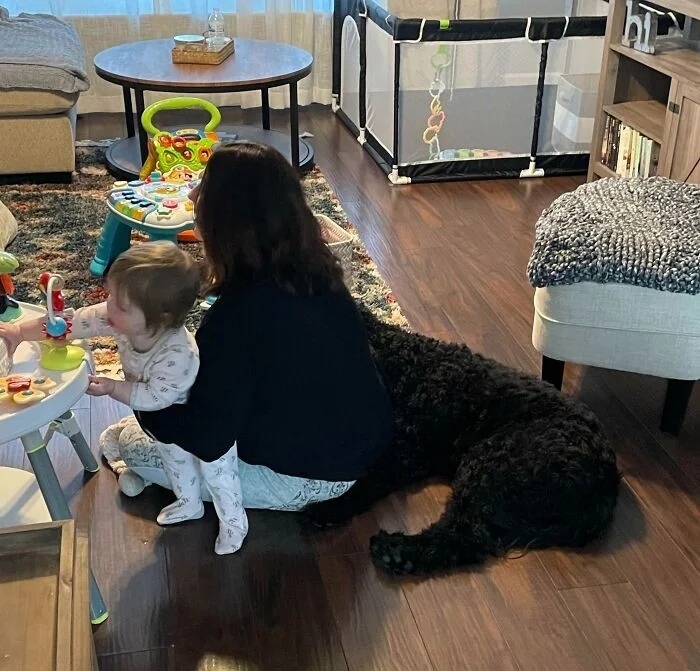 perfectphotos176_032