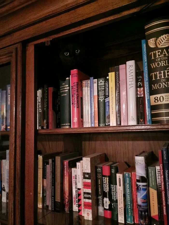 perfectphotos177_003