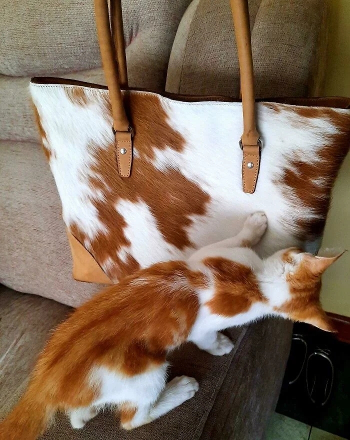 perfectphotos177_004