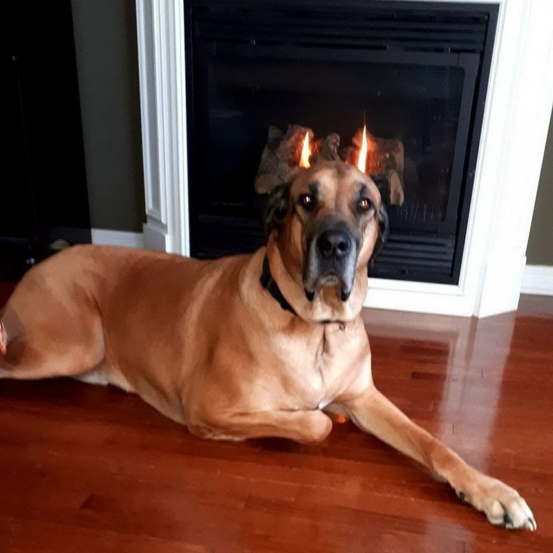 perfectphotos177_011