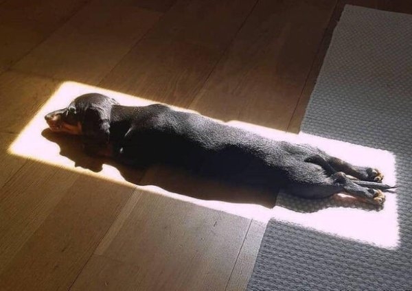 perfectphotos178_019