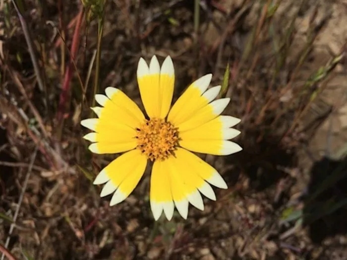 perfectphotos180_002