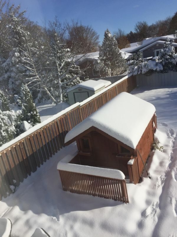 perfectphotos182_011