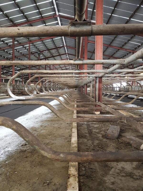 perfectphotos182_015