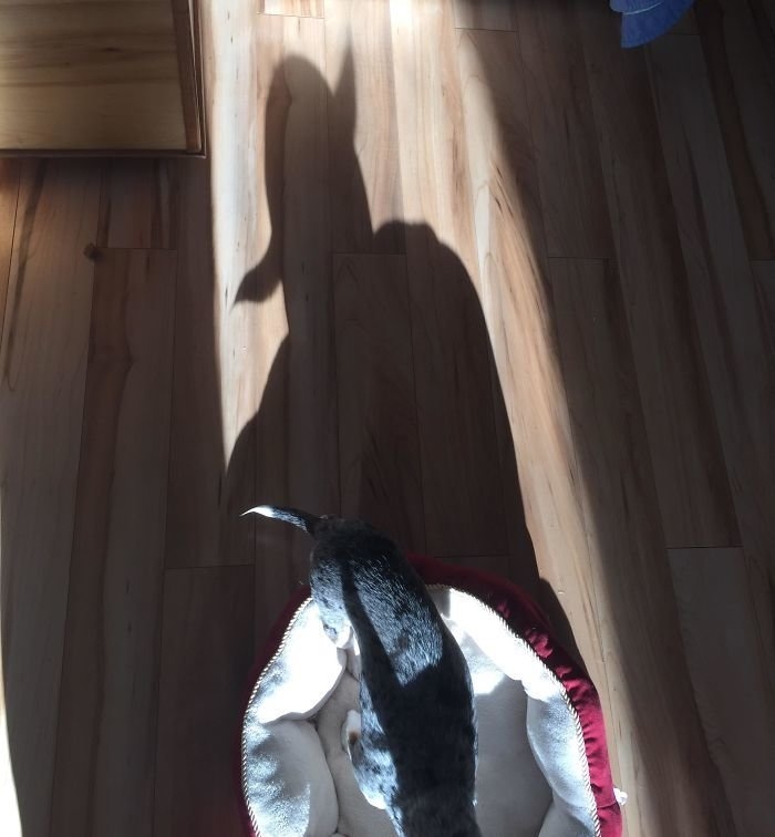 perfectphotos185_033