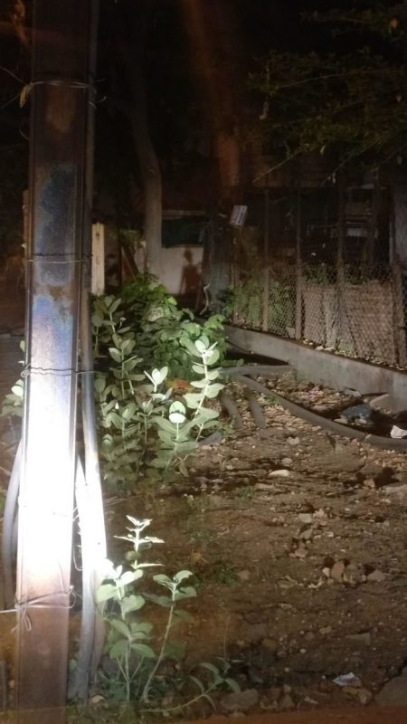 perfectphotos185_037