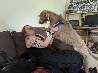 perfectphotos190_017