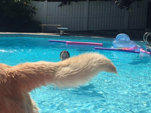 perfectphotos191_024