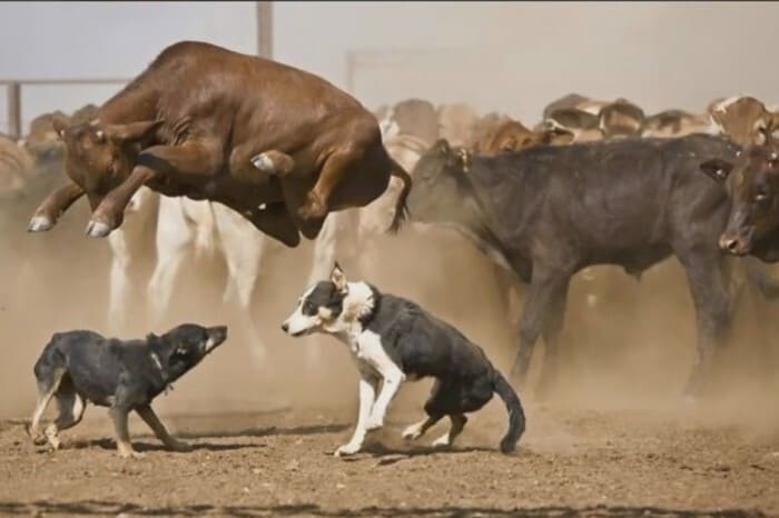 perfectphotos192_003