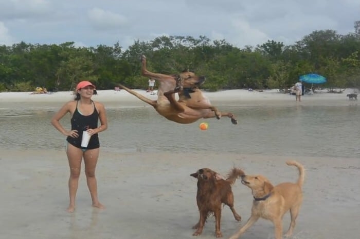 perfectphotos192_010