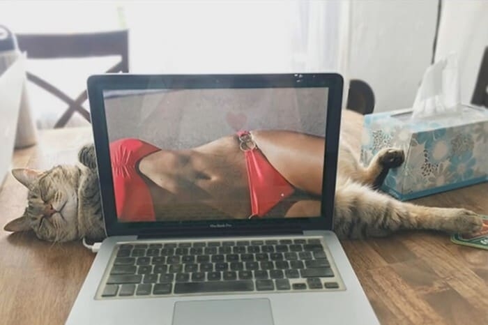 perfectphotos192_017