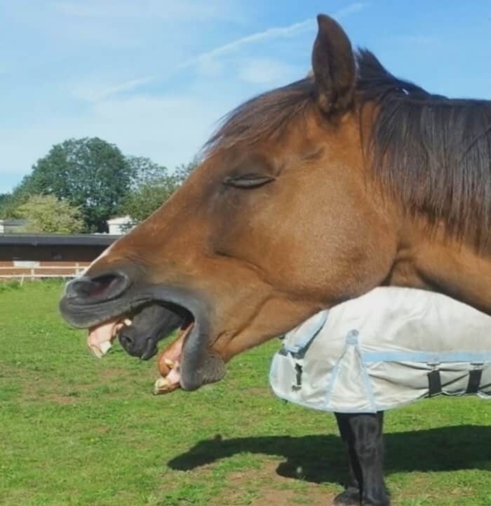 perfectphotos192_018