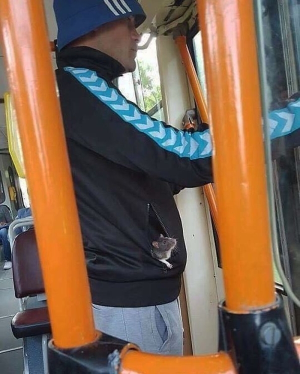 publictransport_027