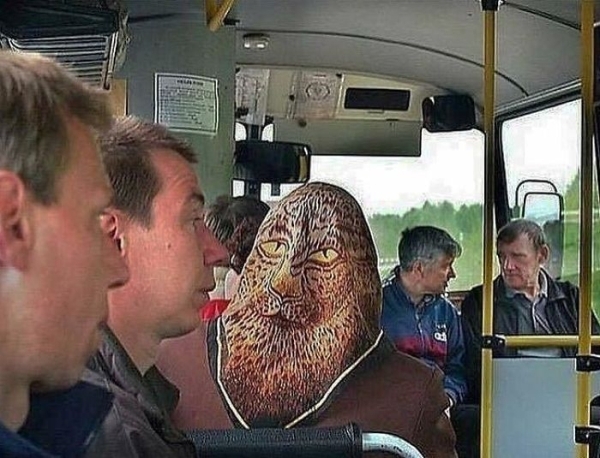 publictransport_039