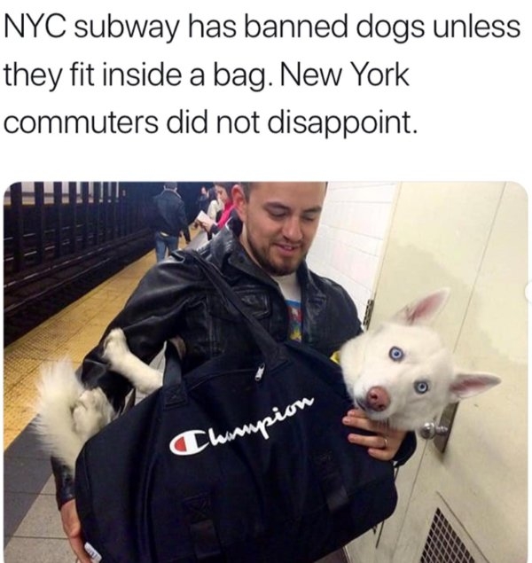 publictransport2_016