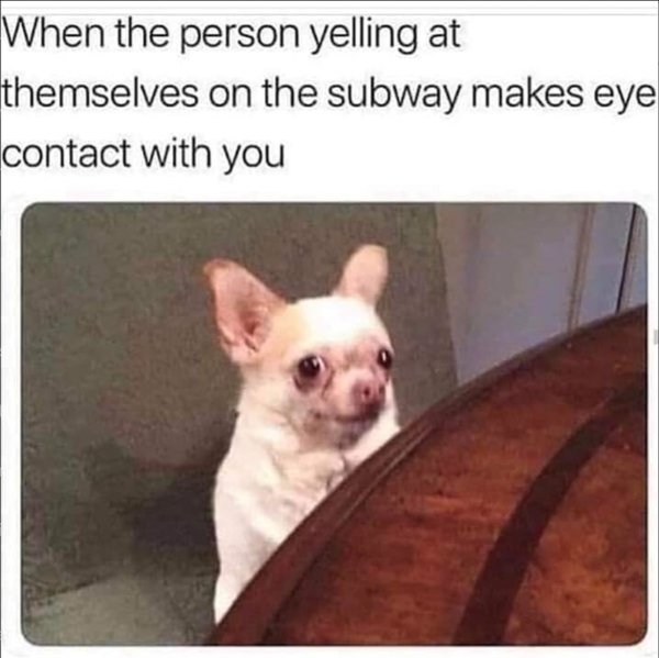 publictransport2_019