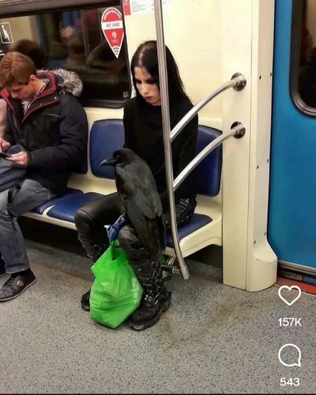 publictransport2_035