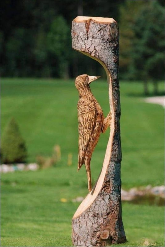 randompics1899_086