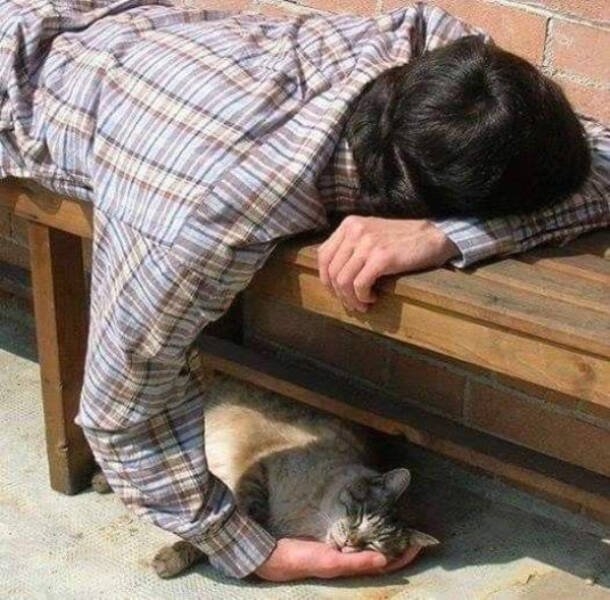 randompics1901_075