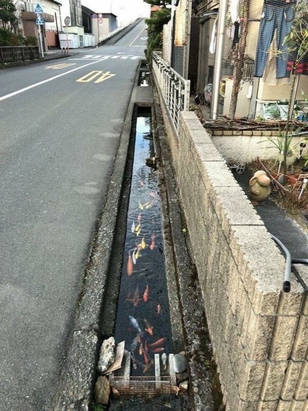 randompics1902_069