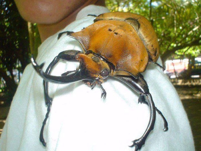 randompics1909_058