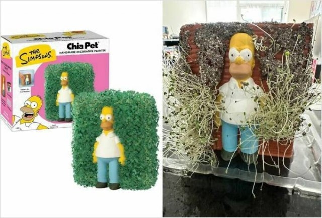 shoppingfails_033