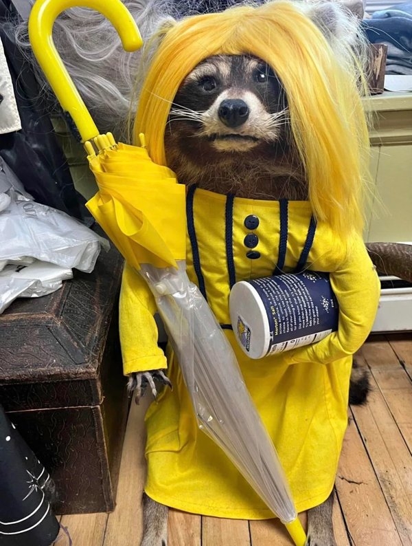 strangedesigns63_018