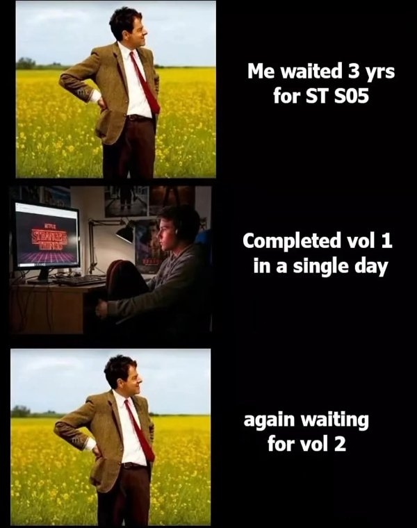 strangerthingsmemes_009