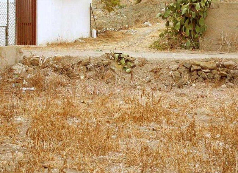 camouflage10_002