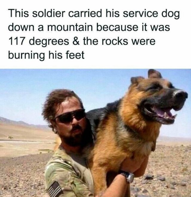 funnyanimals177_013