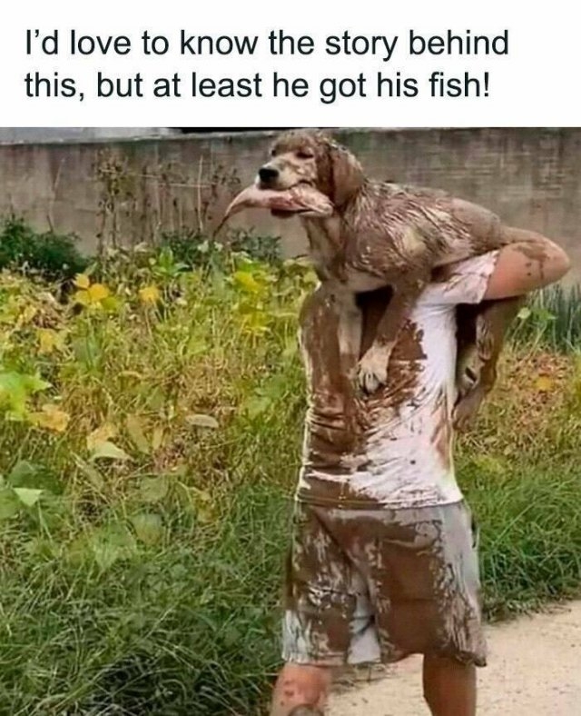 funnyanimals177_018