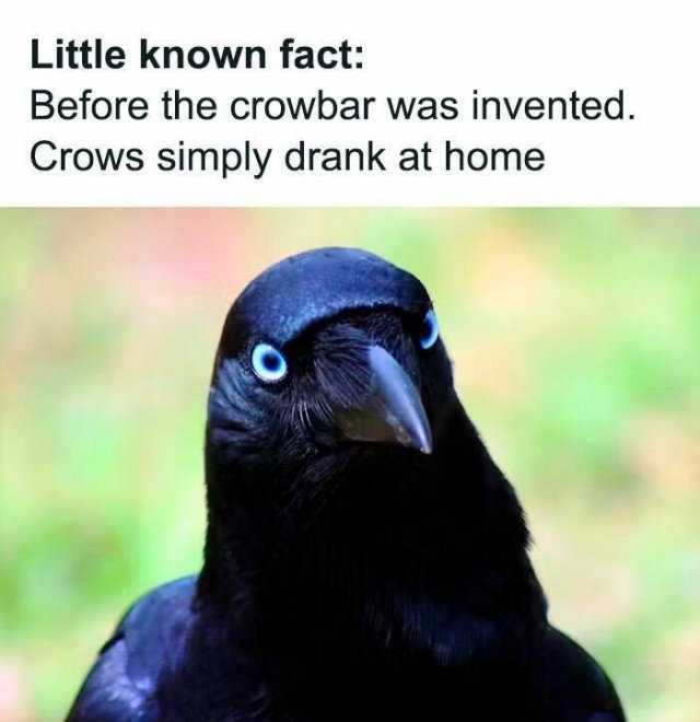 funnyanimals177_021