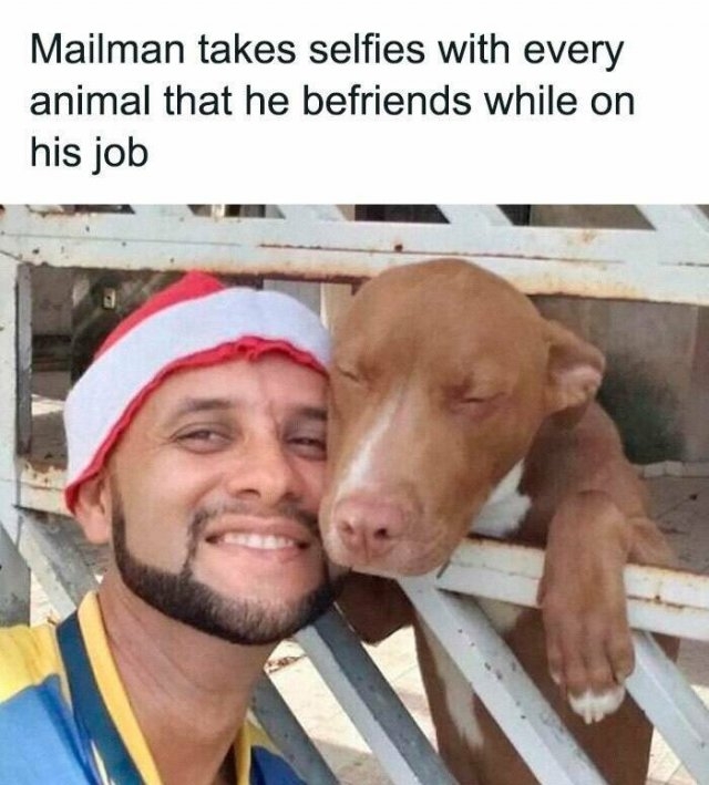 funnyanimals177_024