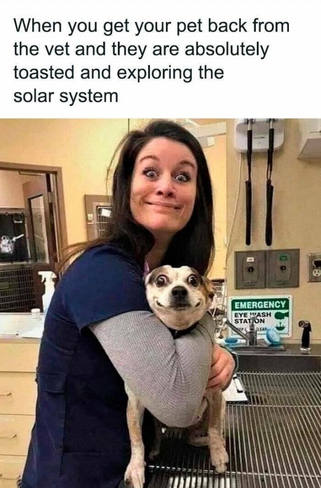 funnyanimals177_027