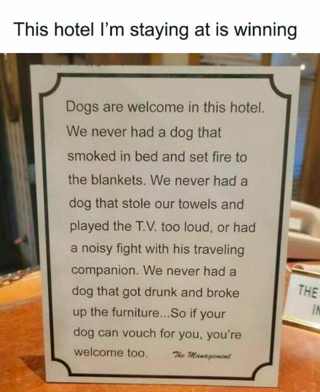 funnyanimals177_028