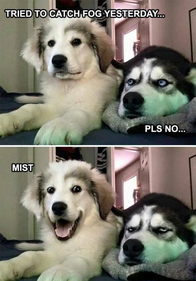 funnyanimals177_031