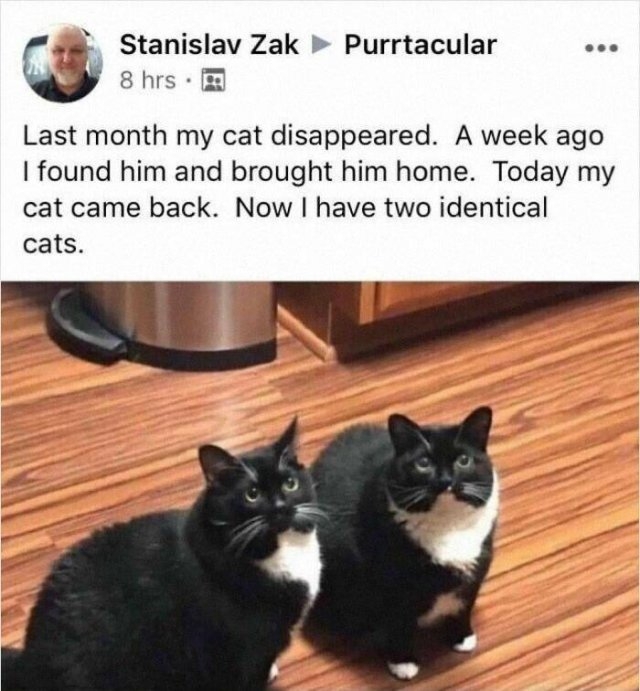 funnyanimals177_032