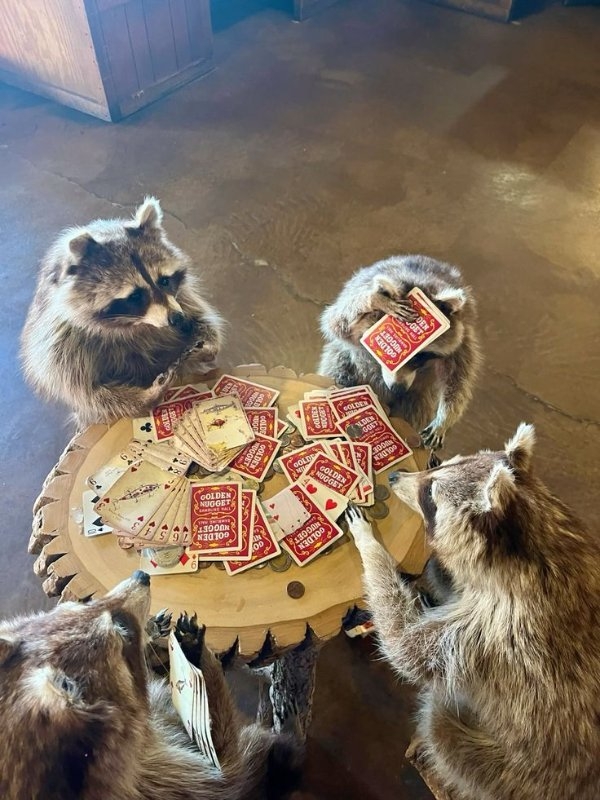 funnyanimals177_038