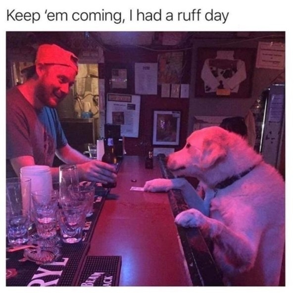 funnyjokes10_004