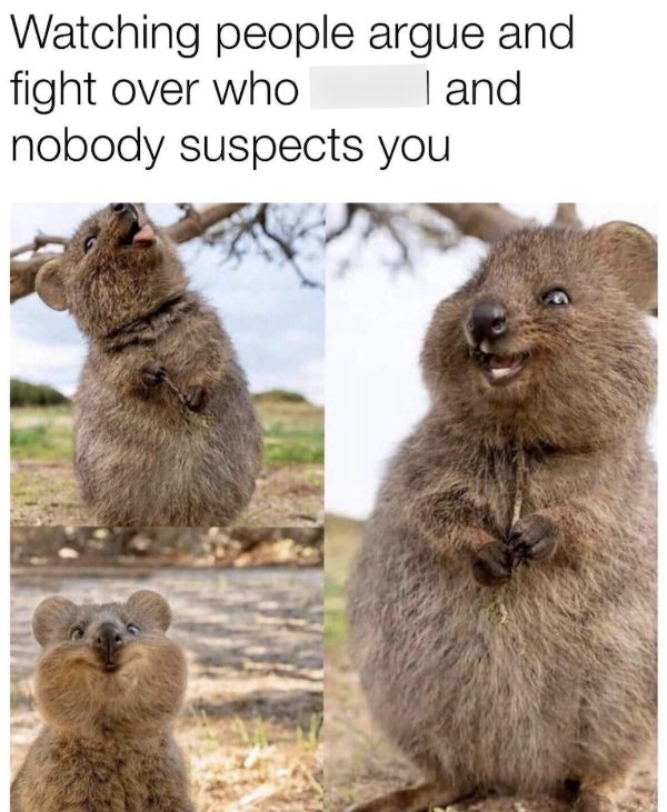 funnyjokes10_008