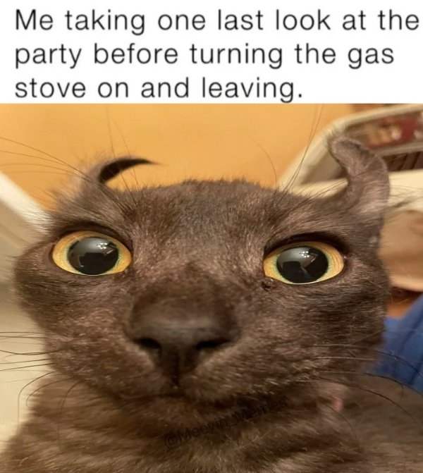 funnyjokes11_031